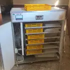 فقاسه بيض للبيع