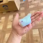 روز