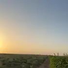 مغيب السر   ساجر