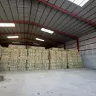 دخن للبيع