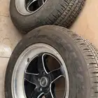 للبيع جنوط ولدات