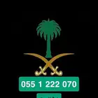 اليوم الوطني السعودي 95