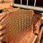 هايلكس غمارتين مسحه 650