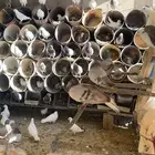 حمام فرنسي سلفر وابيض نضيف ومنتج خمسين جوز البيع كامل