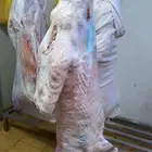 نعيمي بلدي جبر