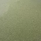 أزولاء بالكيلو