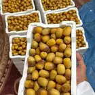 روثانه فاخره طالع الان الطايف