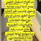 تربيت الصقور