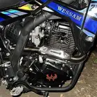 صحراوي 250