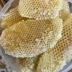 عسل بري قرض وسدر