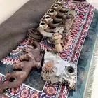 يوجد مكره عمود اكرنك جيب نيسان 4500 ويوجد ثلاجه بنزين