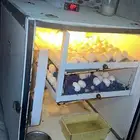 للبيع فقاسة اتوماتيك