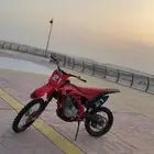 صحراوي مهدي موديل 24