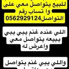 دلال غنم