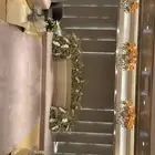 فن الحفلات وتركيب كوش وإيجارات