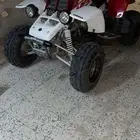 لبيع دباب بانشي