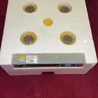 فقاسه تماتيك شرط