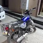 دباب حجم200 مع اوراقه