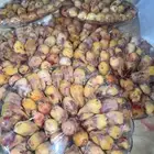 طيرو تين حق الموسم ذا
