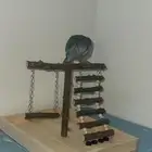 ببغاء كويكر هدد
