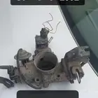 الاحساء