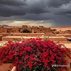 مطلوب حوش كبير