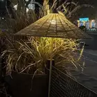 للبيع أبجورات وأحواض شجر مشجره كلها