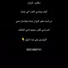 مطلوب مطير كروان جمله