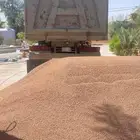 بطحاء حائل بحص حائل