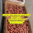 تمر صفري بيشه صافي حبه كبيره