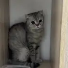 الرياض مخرج17 شارع المدينه المنوره