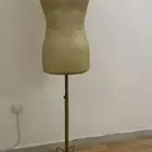 استاند فستان