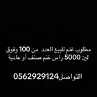 غنم نعيم