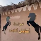 تدريب ركوب الخيل