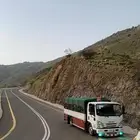 دينا نقل