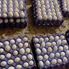 بيض بلدي مخصب الطبق 20