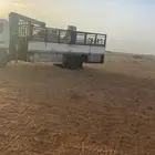 دينا ونش