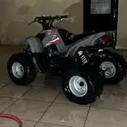 دباب سويدي نضيف