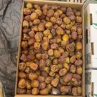 تمر سكري   مفتل   ورشودي   ورطب   وجالكسي