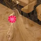 الطايف الحلقه الشرقيه