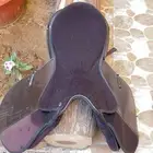 سرج خيل status يجميع ملحقاته