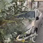 للبيع اكورد تشليح