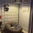 كرسي مخمل نفخ جديد ماستخدم من شي ان اللون بني