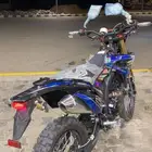 دباب صحراوي