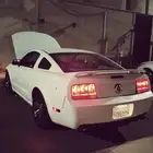 موستنق 2006 مخزن