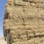 تبن بر صافي ناعم