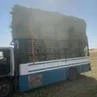 رودس
