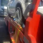 سطح ه الوجه