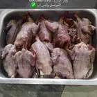 زغاليل منتفه وجاهزه للبيع