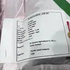 بذور باسفيك امريكي اصلي